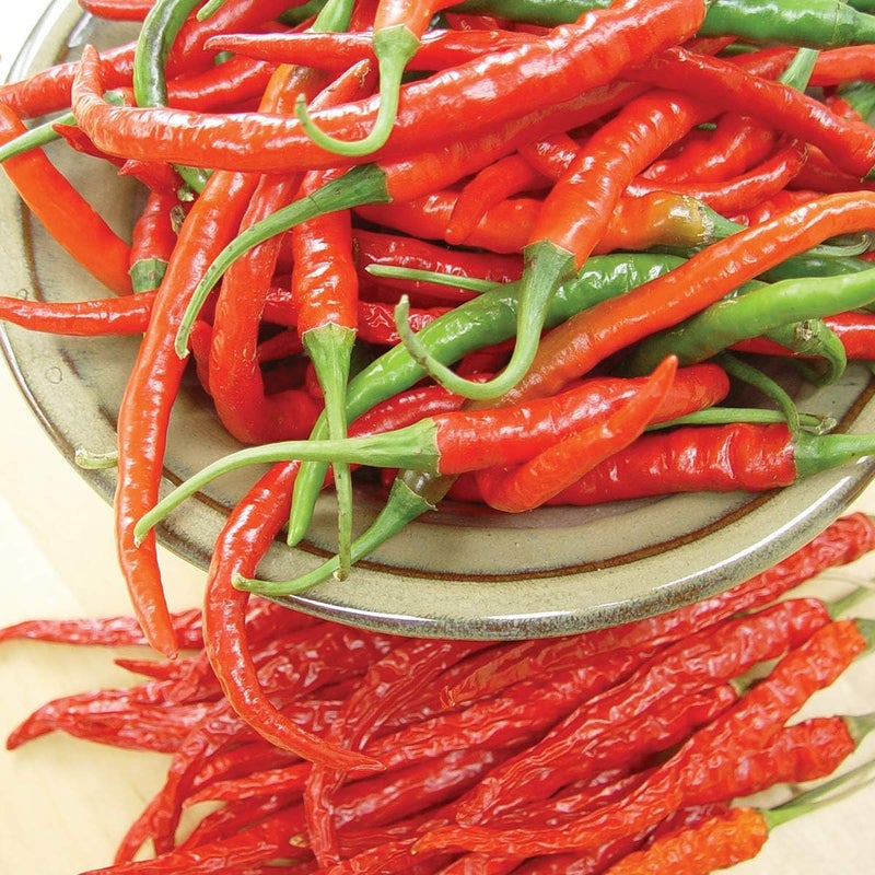 Burpee Cayenne Hot Pepper Seeds 20 seeds - Image 1