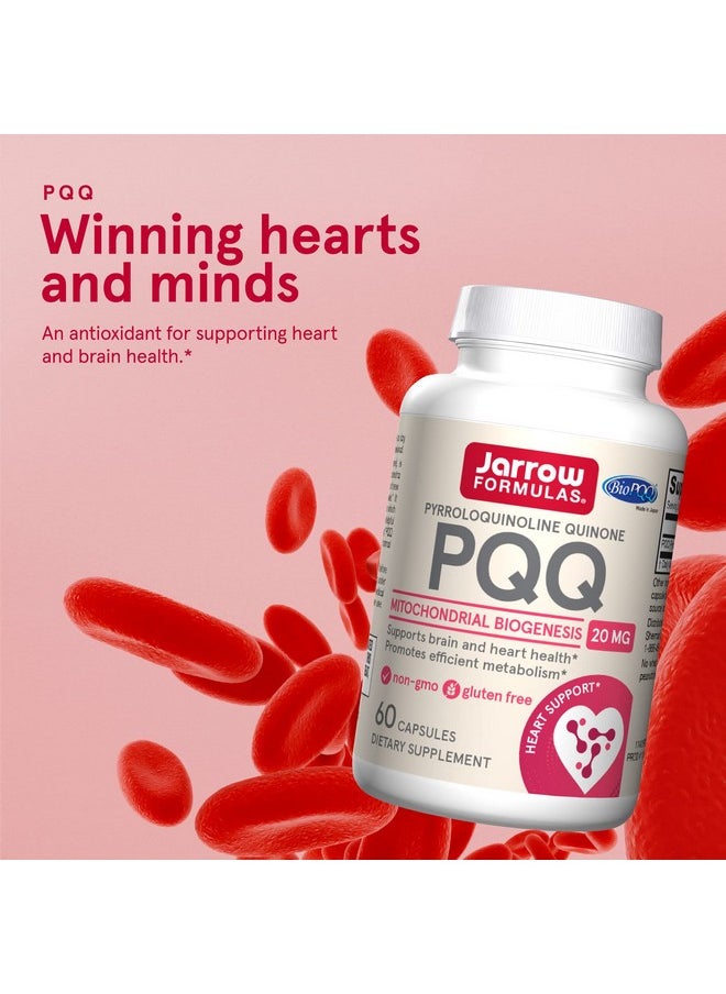 jarrow formulas Pqq 20 Mg 60 Servings (Capsules) Promotes Mitochondrial Biogenesis & Metabolism Supports Brain Heart Health & Cognitive Function Dietary Supplement  - Image 5