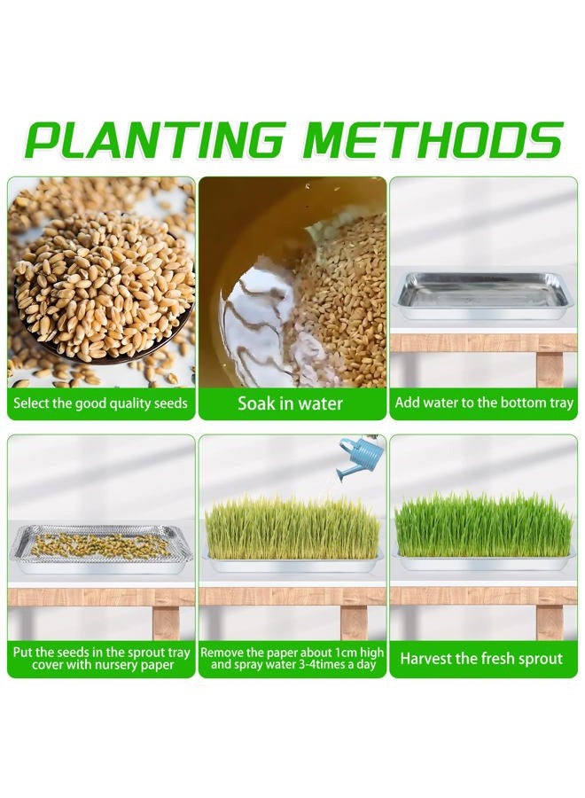 WBCBEC Stainless Steel Plant Trays, Multi-Purpose Tray for Indoor Outdoor Plants Stainless Steel Sprouting Trays Stainless Steel Seed Sprouting Kit Seed Sprouter Tray Seed Starting Trays (6PCS) - Image 3