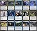 MTG Decks & More Ninja Commander Deck Yuriko Dimir Blue Black EDH 100 Card Custom Magic The Gathering Deck Very Strong - Image 4