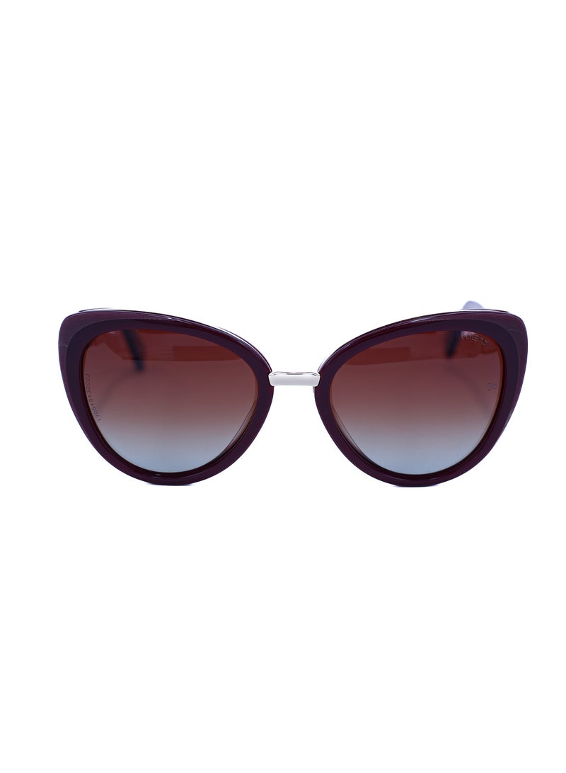 Baleno Butterfly Frame Sunglasses - Classic and Stylish Design for Every Look | 100% UV Protection | Scratch-Resistant High-Quality Lenseerfly - Image 1