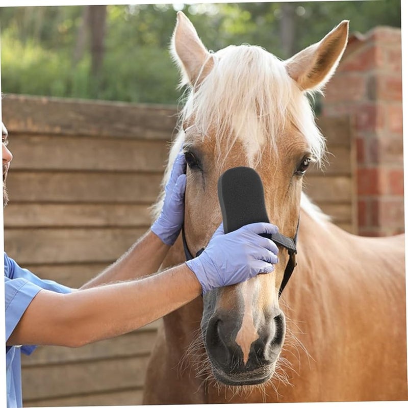 5 قطع من إسفنجات تنظيف الخيل الناعمة لإزالة العرق والأوساخ، سهلة التنظيف، محمولة للاستحمام - Image 4