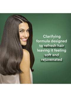 Suave Suave Professionals Clarifying Shampoo for Oily Hair Charcoal Aloe Vera Paraben Free 12.6 oz  - Image 4