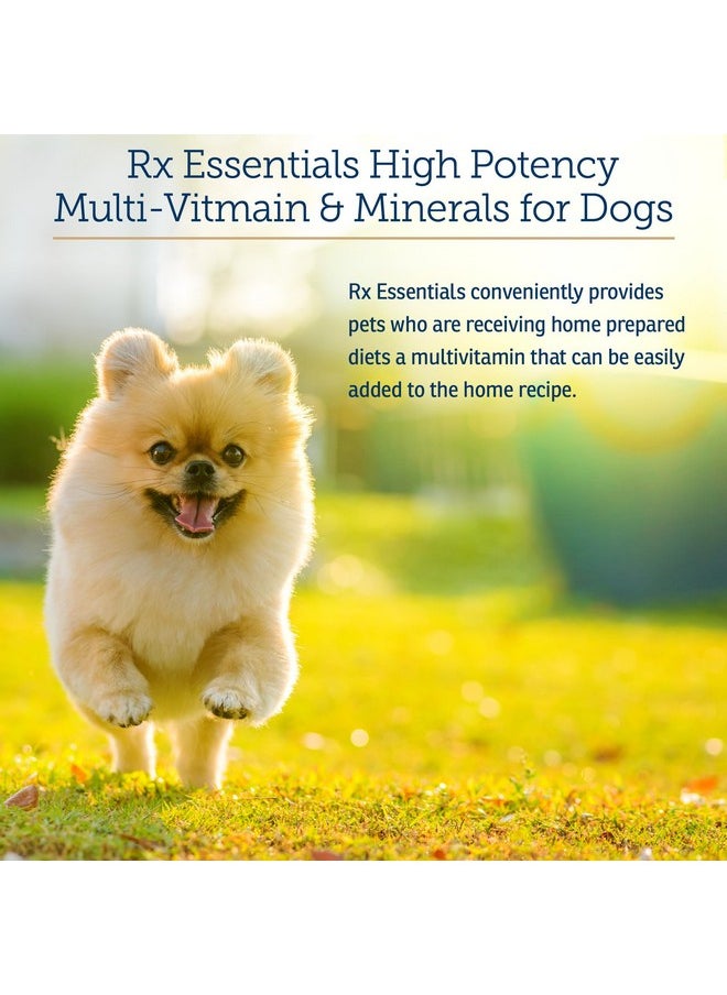Rx Vitamins Rx Vitamins Essentials for Dogs - Daily Dog Multivitamin Powder - with Blue Spirulina for Dogs, Kelp Powder, and Milk Thistle for Dogs - Complete Dog Vitamins and Essential Minerals - 8 oz  - Image 3