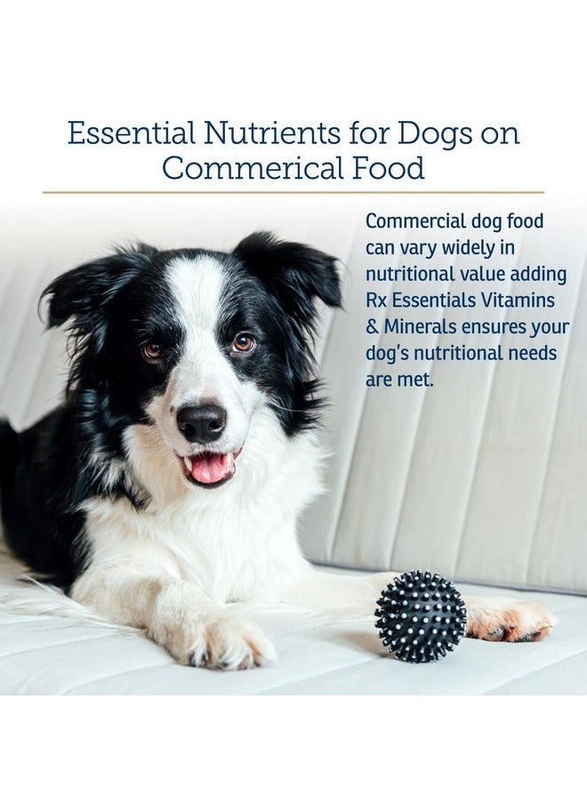 Rx Vitamins Rx Vitamins Essentials for Dogs - Daily Dog Multivitamin Powder - with Blue Spirulina for Dogs, Kelp Powder, and Milk Thistle for Dogs - Complete Dog Vitamins and Essential Minerals - 8 oz  - Image 4