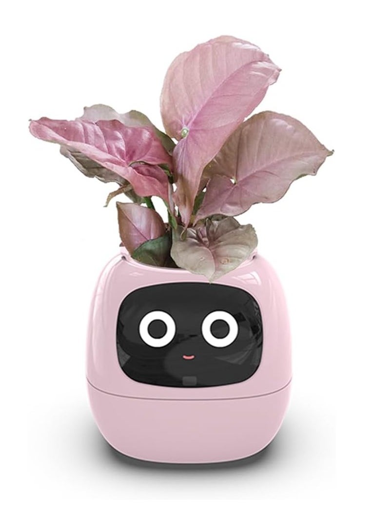 Generic - Tuya Ivy Smart Planter,Endless Fun Over 49 Rich Expressions,7 smart sensors,AI Chips Make Raising Plants Easy and Fun(Pink) - Image 1