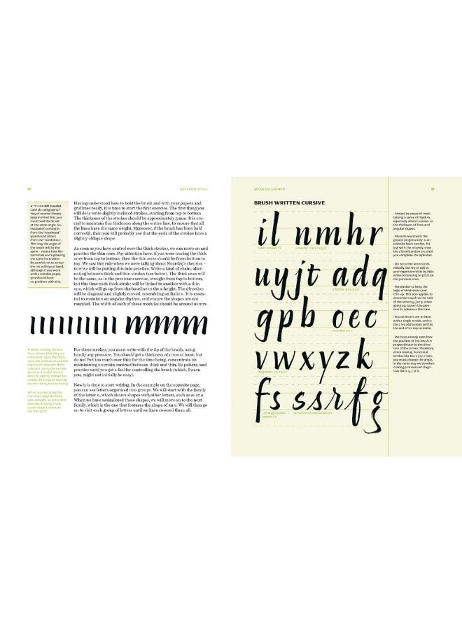 Lettering To The Max: Master the fundamentals of drawing letters with style