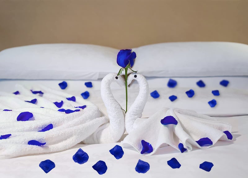 Attmu 3200 Pcs Artificial Rose Petals for Romantic Night  Fake Rose Flower Petals for Wedding  Party  Valentines Day Decorations for The Home (Blue) - Image 4