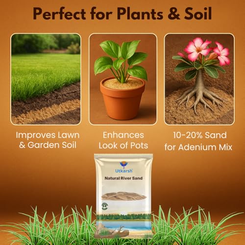 Utkarsh Natural River Sand (Substrate Pure Organic Plants Soil Mix Additive, Plants Gardening | River Sand for Aquarium | for Cactus Succulent Bonsai| Home Decor) (5 Kg; Pack of 1) - Image 5