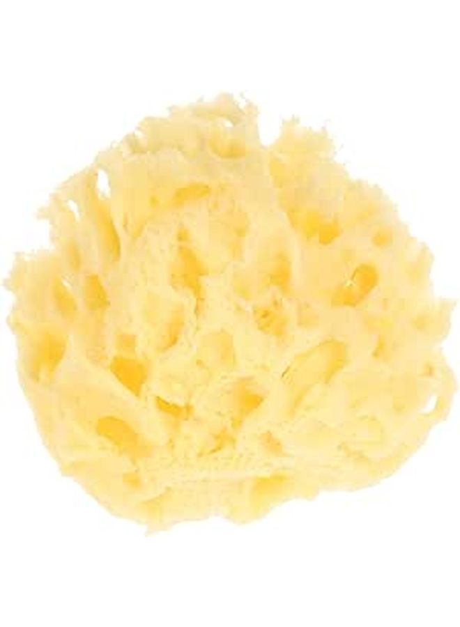 Natural Honeycomb Bath Sponge for Body Bathing 2.5 to 3.0 Inch Soft Sponge Suitable for Newborns - Image 1