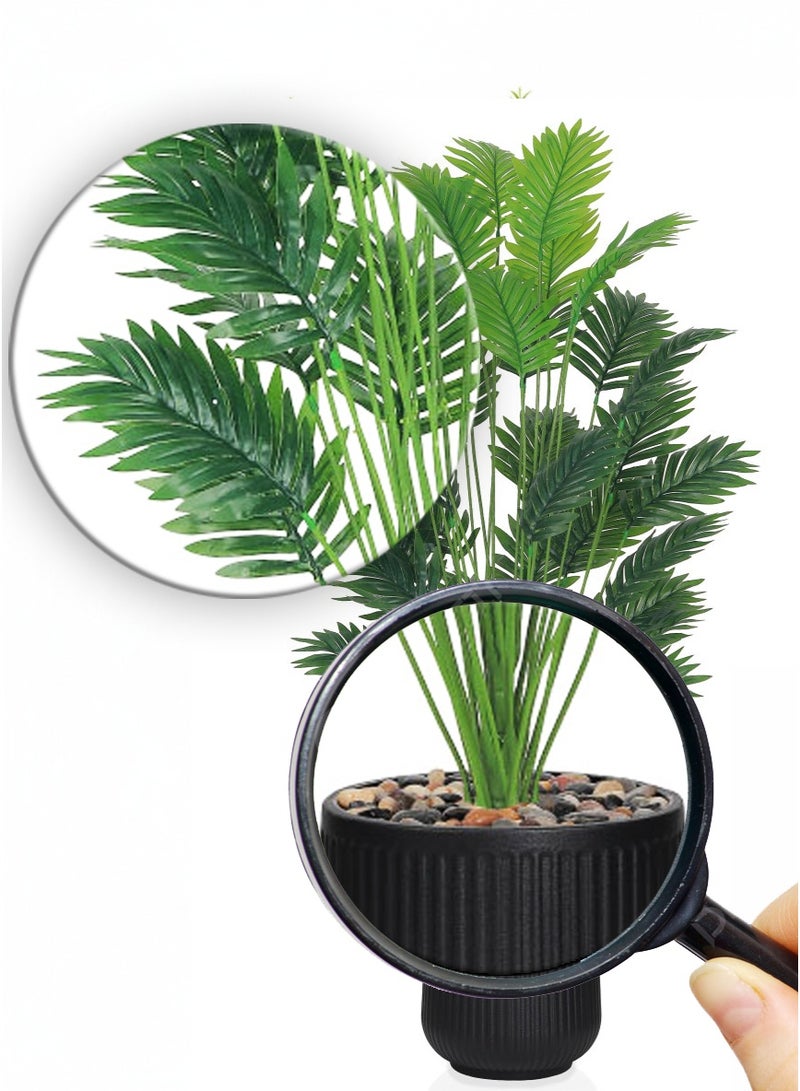 Tala Premium Palm Tree with Durable Pot, 36 Leaves, 135 cm Height, Perfect for Homes and Offices - Image 2