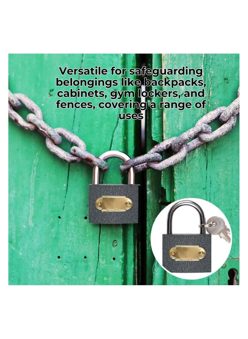weatherproof metal lock (38mm) with 3 keys ensure maximum protection  - Image 2
