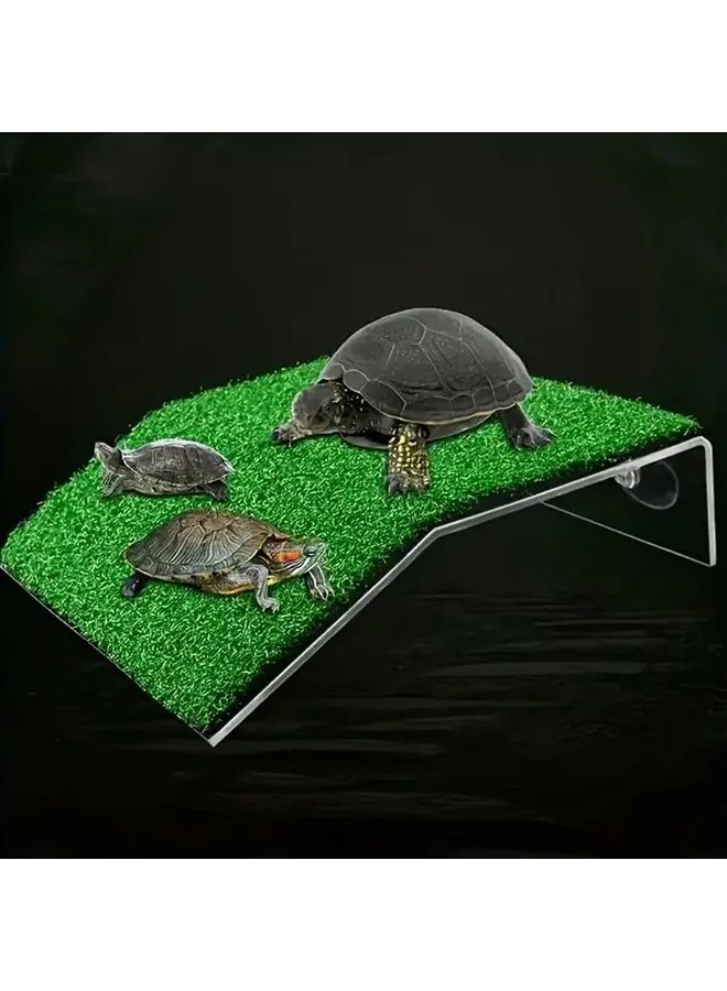 منصة سلحفاة للتشمس مع سلم حجم متوسط طاولة تسلق واستراحة لحوض السمك - Image 4