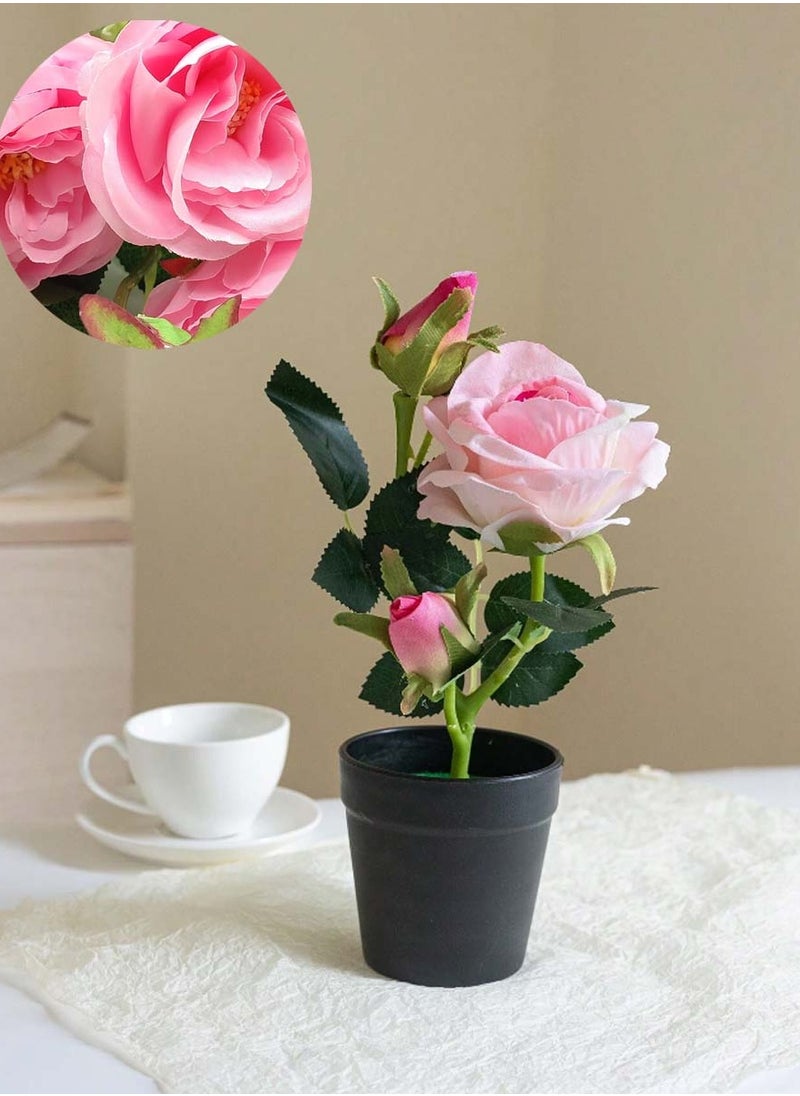 Pink rose vase, 29 cm high - pzsku/ZE55D50B9E2D1C8D43915Z/45/_/1709040739/283f4502-0b0e-41e3-a516-f99a899fd1f6