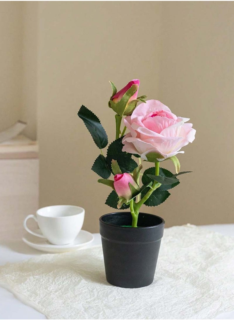 Pink rose vase, 29 cm high - pzsku/ZE55D50B9E2D1C8D43915Z/45/_/1709040741/5acb0c6f-f09f-4c43-8d32-801bf8097a91