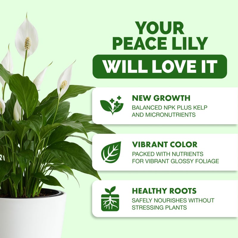 TPS NUTRIENTS Peace Lily Fertilizer â€“ Liquid Peace Lily Plant Food for Indoor Plants, Supports Blooming & Healthy Growth, 32 oz - Image 2