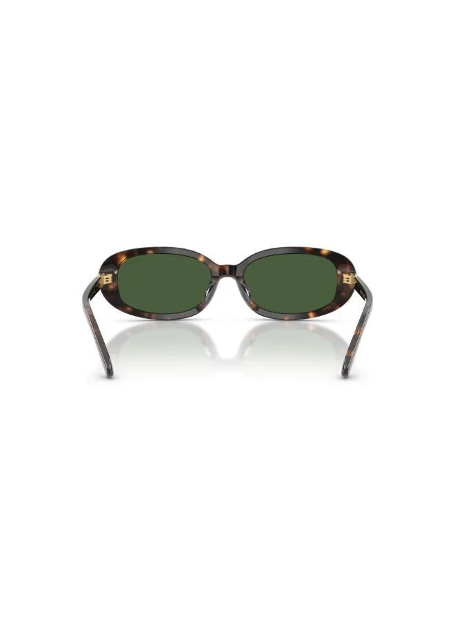 POLO RALPH LAUREN Oval Sunglasses