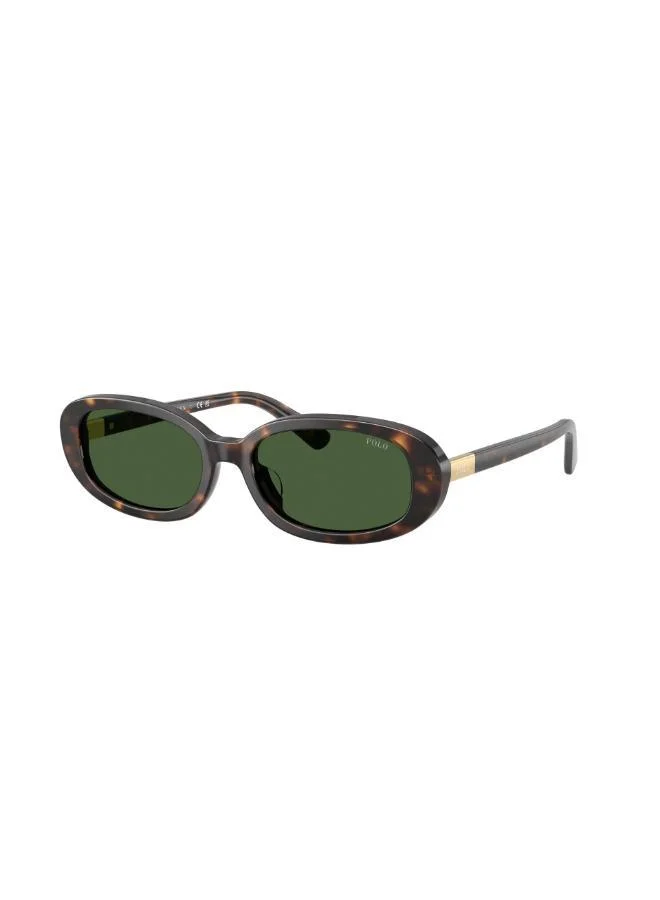 POLO RALPH LAUREN  Oval Sunglasses for Women | Best Price UAE