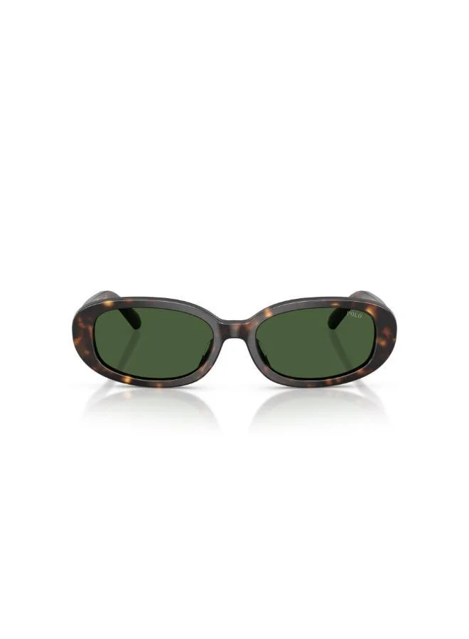 POLO RALPH LAUREN  Oval Sunglasses for Women | Best Price UAE