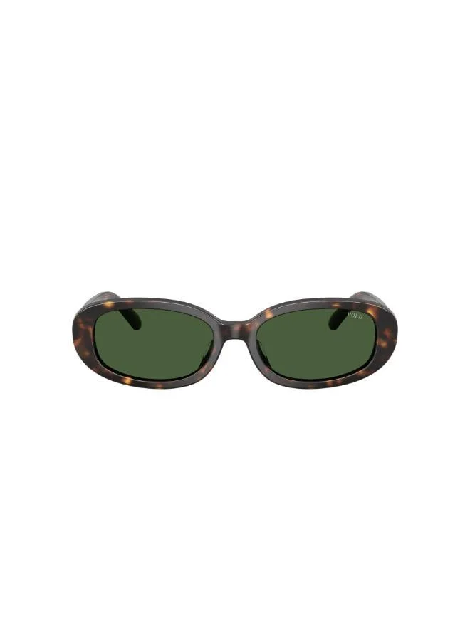 POLO RALPH LAUREN Oval Sunglasses