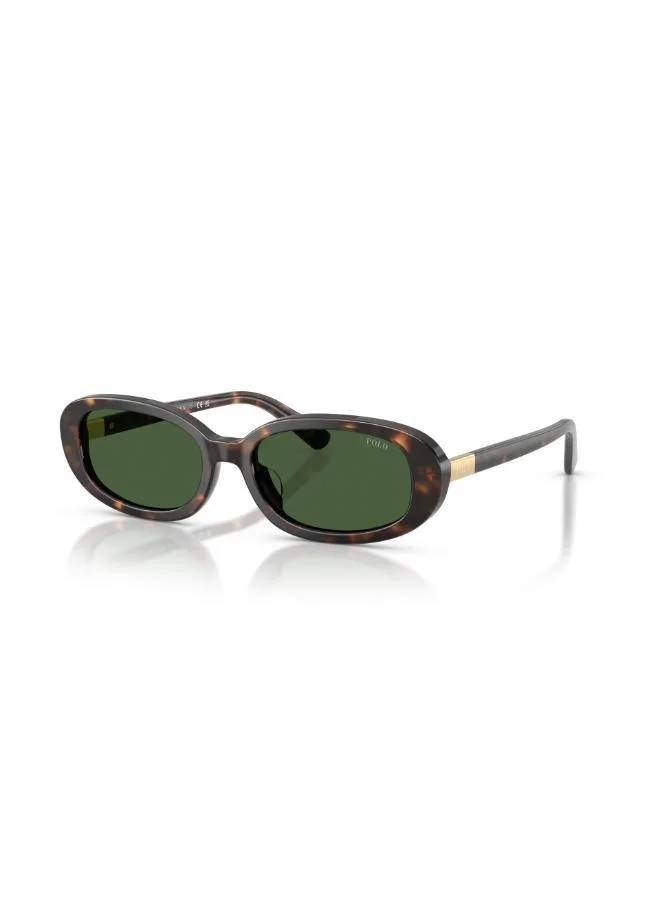 POLO RALPH LAUREN  Oval Sunglasses for Women | Best Price UAE