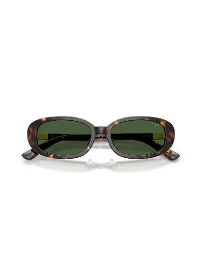 POLO RALPH LAUREN  Oval Sunglasses for Women | Best Price UAE
