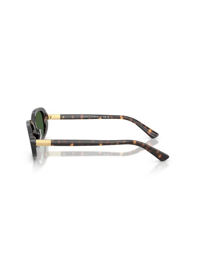 POLO RALPH LAUREN  Oval Sunglasses for Women | Best Price UAE