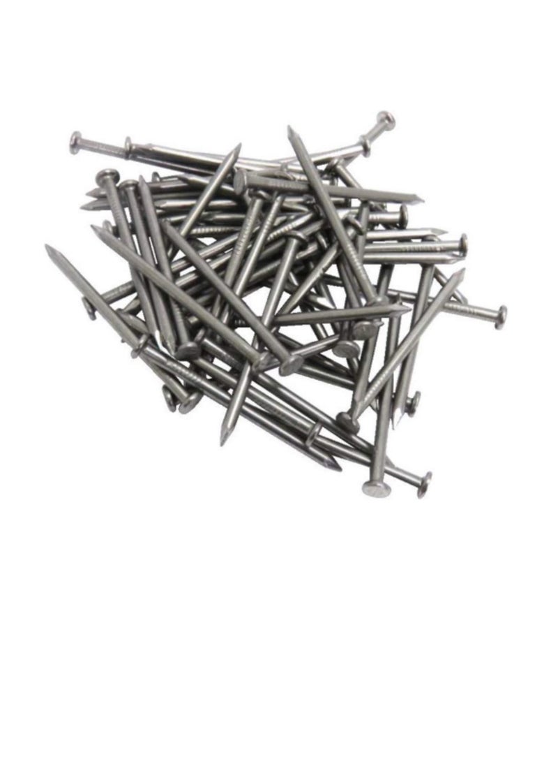 High Strength Round Head Nails For Carpentry Hardware Electrical Etc (300, 3 inch) - Image 1