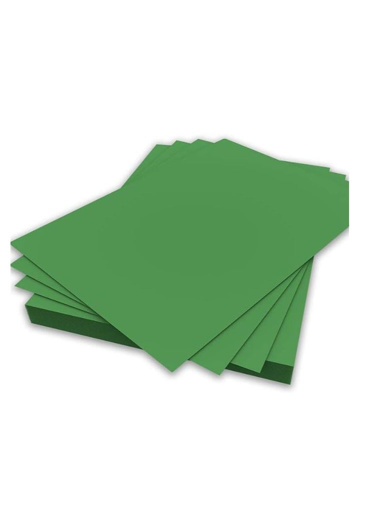 Terabyte Colored Paper (250 Gsm Light Green 20 Sheets) - Image 1
