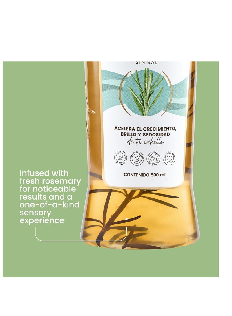 ANYELUZ Anyeluz - Rosemary Shampoo | Promotes Hair Growth | Cleanses and Reduces Oiliness | For all Hair Types | Natural Extracts | Salt and Paraben Free  - Image 4