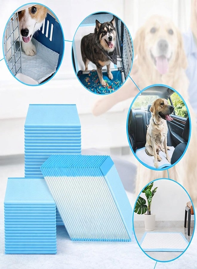 Berlin's PET ACCESSORIES Berlin's Dog Training Pads 60x45 cm Pack of 10 | Puppy Pee Pads with 6-Layer Technology | Fast Absorption, Leak Proof Pet Potty Pads for Dogs of All Ages (60 X 45 Cms) - Image 2