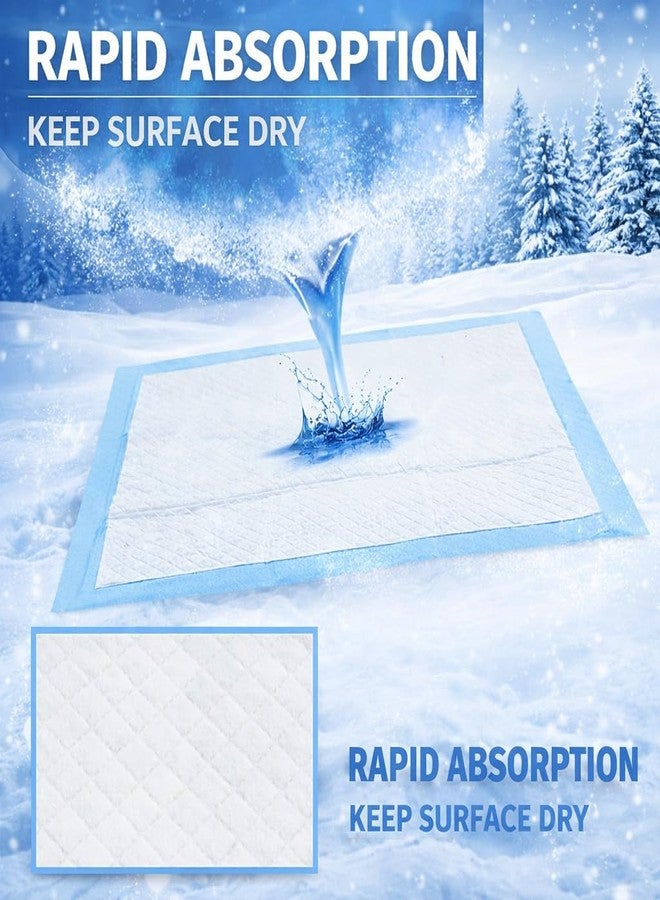 Berlin's PET ACCESSORIES Berlin's Dog Training Pads 60x45 cm Pack of 10 | Puppy Pee Pads with 6-Layer Technology | Fast Absorption, Leak Proof Pet Potty Pads for Dogs of All Ages (60 X 45 Cms) - Image 3