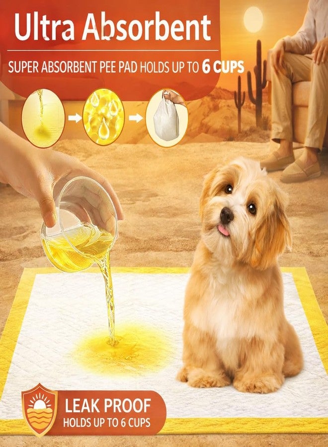 Berlin's PET ACCESSORIES Berlin's Dog Training Pads 60x45 cm Pack of 10 | Puppy Pee Pads with 6-Layer Technology | Fast Absorption, Leak Proof Pet Potty Pads for Dogs of All Ages (60 X 45 Cms) - Image 4