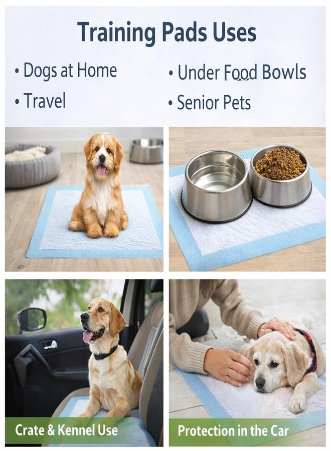 Berlin's PET ACCESSORIES Berlin's Dog Training Pads 60x45 cm Pack of 10 | Puppy Pee Pads with 6-Layer Technology | Fast Absorption, Leak Proof Pet Potty Pads for Dogs of All Ages (60 X 45 Cms) - Image 5