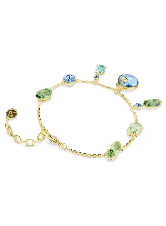 SWAROVSKI  Gema Black & Green Gold Tone Plated Drop Bracelet for Women | Best Price UAE