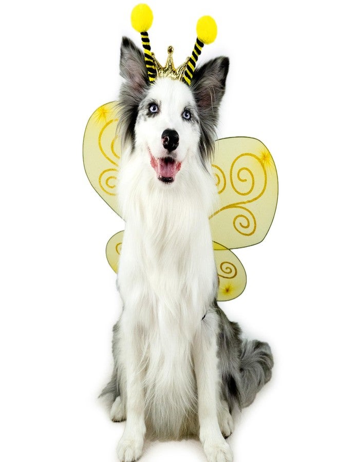 Wodison Bee Dog Headband and Wings Costume Set, Bee Wings Headband Accessories for Large Dog Halloween Christmas Birthday Festival Party Cosplay - Image 3