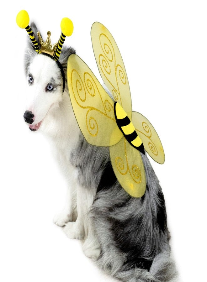 Wodison Bee Dog Headband and Wings Costume Set, Bee Wings Headband Accessories for Large Dog Halloween Christmas Birthday Festival Party Cosplay - Image 2