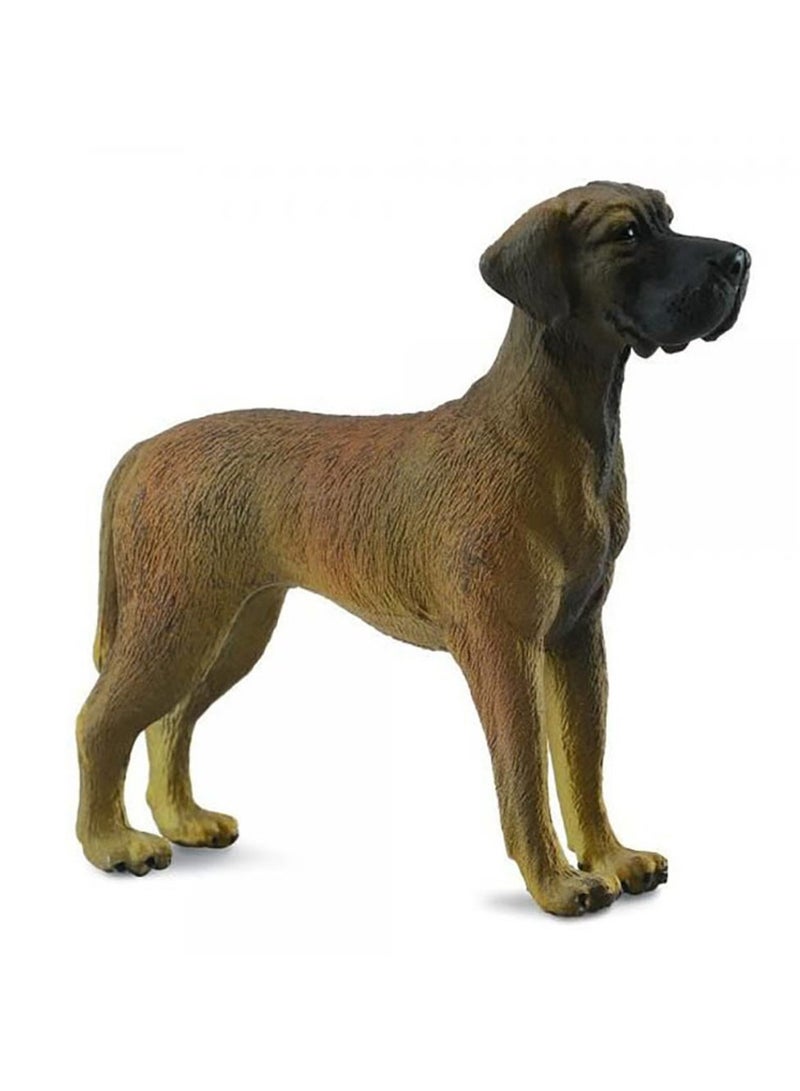 Collecta - Great Dane Dog - 88062