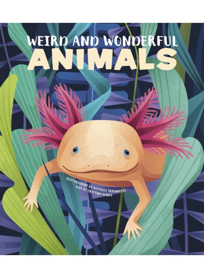 Weird and Wonderful Animals 