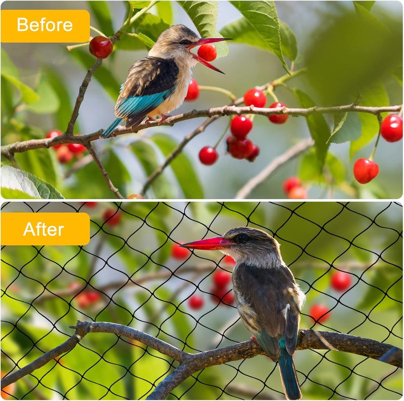 BSTPCOO Nylon Bird Netting 50'x50' with 2.4" Square Mesh Hawk Net for Chicken Run, Poultry Netting Aviary Nets Garden Bird Net for Chicken Coop Nettings Roof Hawk Proof - Image 4