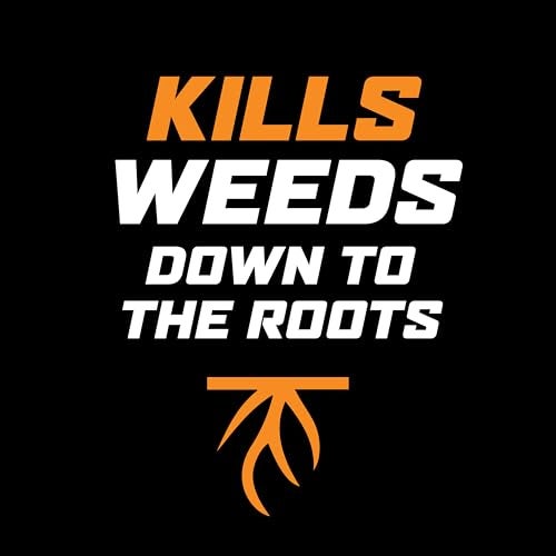 Ortho WeedClear Lawn Weed Killer Concentrate, Kills Crabgrass, Dandelion and Clover, 32 fl. oz. - Image 3