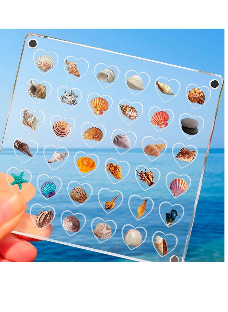 Generic 36 Grids Heart Clear Acrylic Shadow Boxes, Mini Seashell Collection Display Box, Acrylic Magnetic Seashell Storage Box, Clear Acrylic Diamond Gemstone Beads Display Organizer  - Image 1