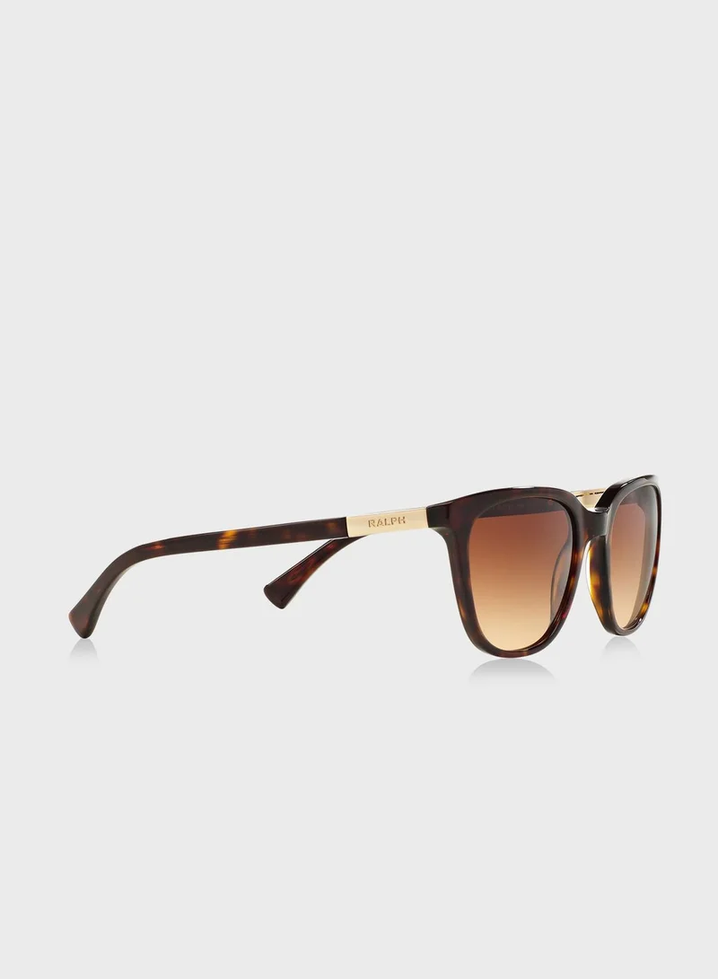 POLO RALPH LAUREN 0RA5206 Tortoise Wayfarers Sunglasses