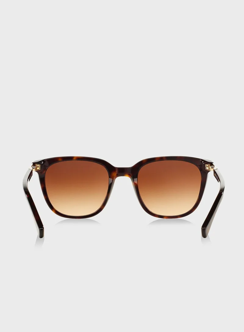 POLO RALPH LAUREN 0RA5206 Tortoise Wayfarers Sunglasses
