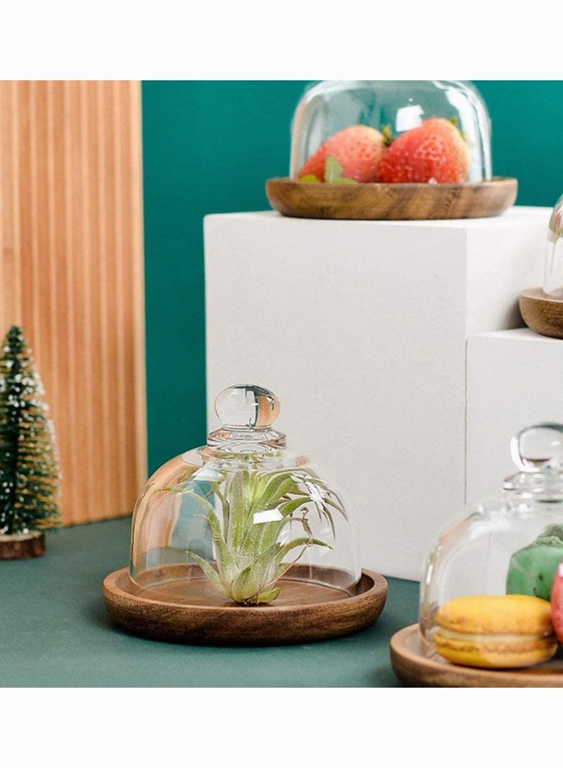 SYOSI 1 Set Glass Dome with Wooden Base, SYOSI Mini Cake Stand Glass Display Dome Clear Glass Bell Jar Cover for Dessert Cheese Candy Plants Succulents  - Image 3