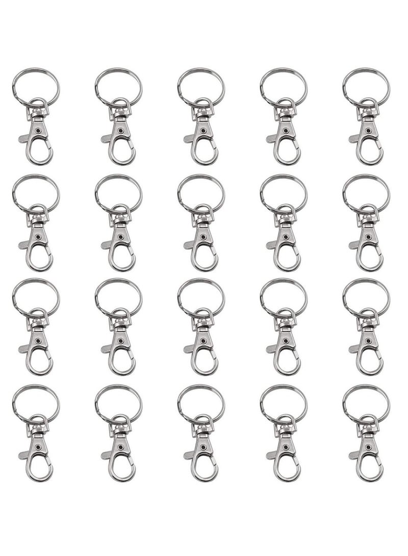 KASTWAVE 20 PCS Metal Keyring, Carabiner Clip Keychains Lobster Clasps Swivel Clips Key Chain for Men Women - Image 1