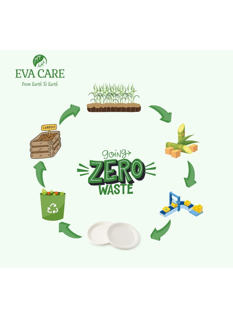 Eva Care 10" ROUND DISPOSABLE PLATE (BIODEGRADABLE, PACK OF 25) - Image 2