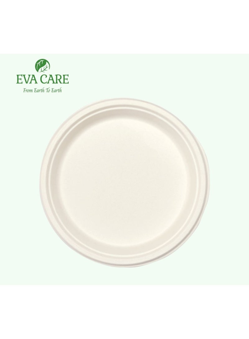 Eva Care 10" ROUND DISPOSABLE PLATE (BIODEGRADABLE, PACK OF 25) - Image 5