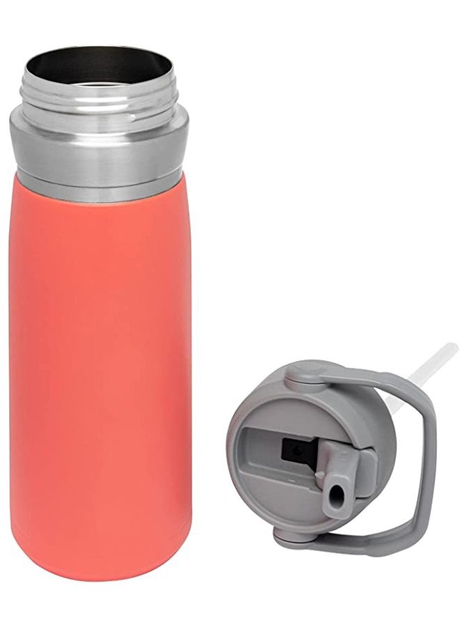 Taiahiro Stainless Steel Bottle with Straw, Vacuum Insulated Water Bottle for Home, Office or Car, Reusable Leakproof Cup with Straw and Handle - Image 2