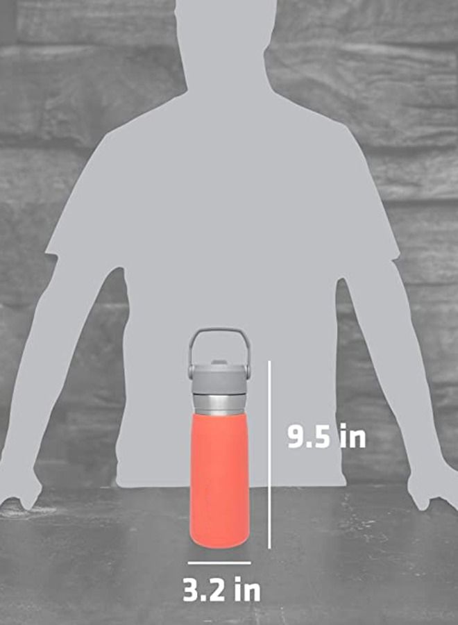 Taiahiro Stainless Steel Bottle with Straw, Vacuum Insulated Water Bottle for Home, Office or Car, Reusable Leakproof Cup with Straw and Handle - Image 5